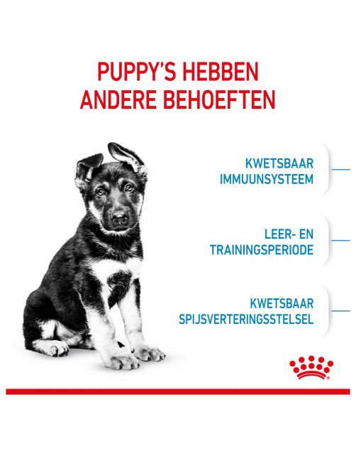 Royal Canin Maxi - Puppy-Hondenvoer