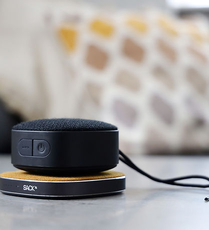 SACKit H?jtaler - Go 250 - PortaBlå Bluetooth Speaker