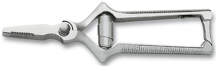Masticateur Chrome Roger Orfevre