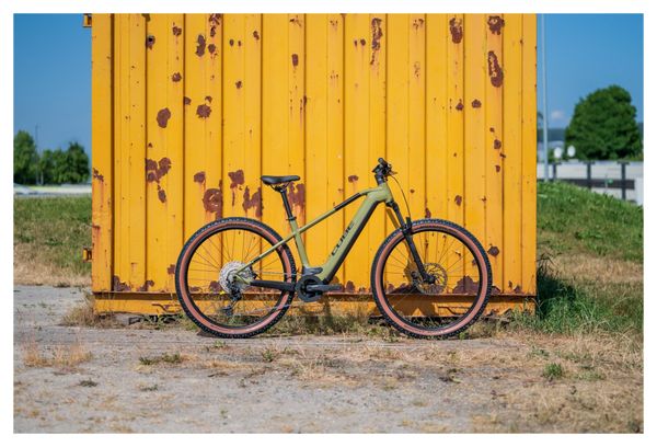 VTT Électrique Semi-Rigide Cube Reaction Hybrid Race 625 Shimano Deore/XT 12V 625 Wh 29'' Vert Olive