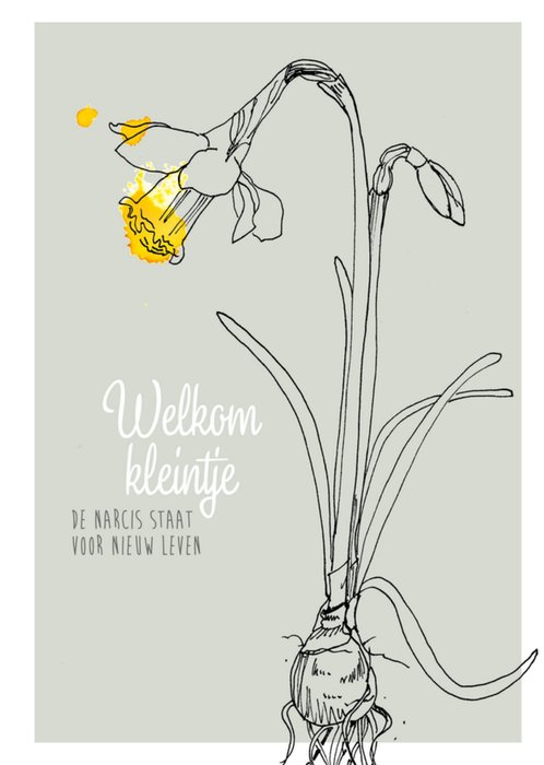 Veer&Moon | Geboortekaart | Narcis staat voor nieuw leven