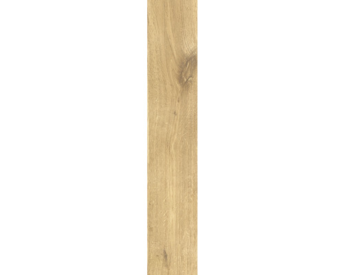 Porseleinen wand- en vloertegel Giornota Oro 11 x 60 x 0,8 cm mat