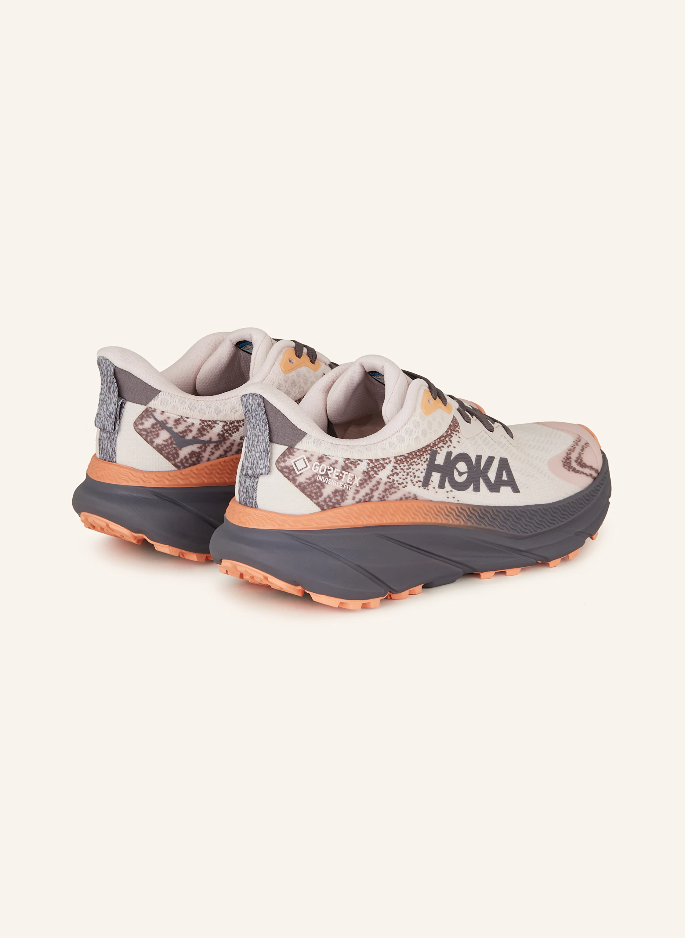 HOKA Trailrunning-Schuhe CHALLENGER 7 GTX