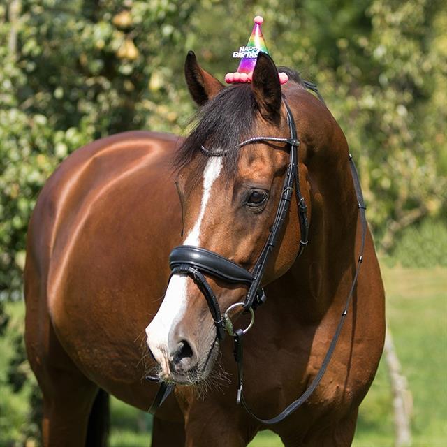 Feestmuts Paard QHP Rood