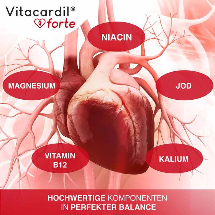 Vitacardil Forte mit Thiamin Kapseln , 120 St