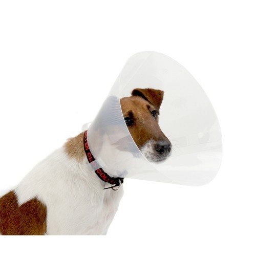 Cone de plástico clássico para cães e gatos.