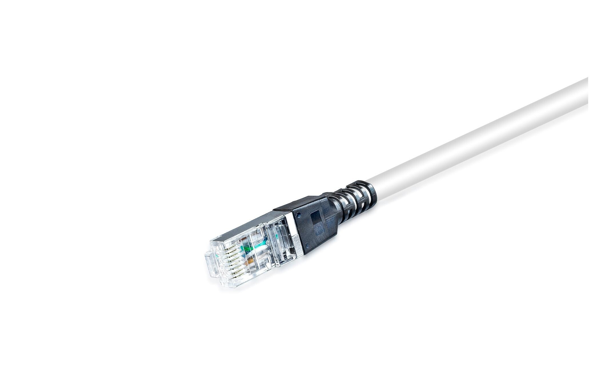 Patchkabel Securelock Cat 6A, S/FTP, 0.3 m, GrauWirewin Patchkabel verriegelbar mir optionalem Schlüssel.