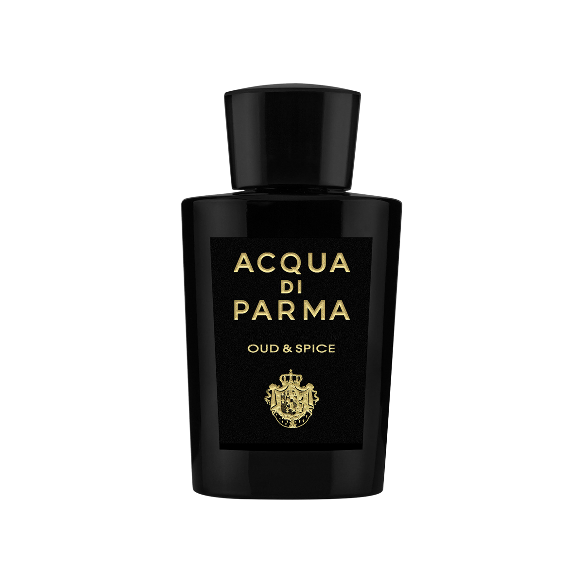 Oud & Spice Eau de Parfum 100ml