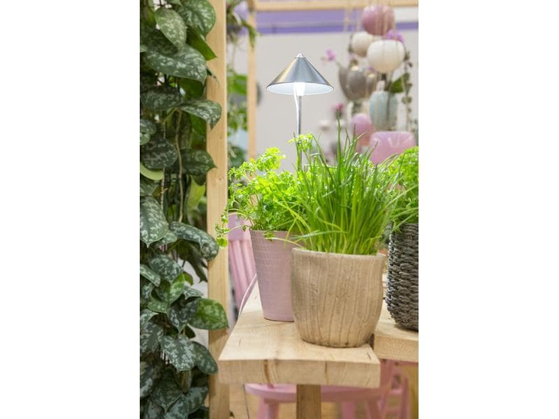 Venso Solutions Pflanzenleuchte SunLite 7 W, Grau LED-Pflanzenlampe mit Vollspektrum
