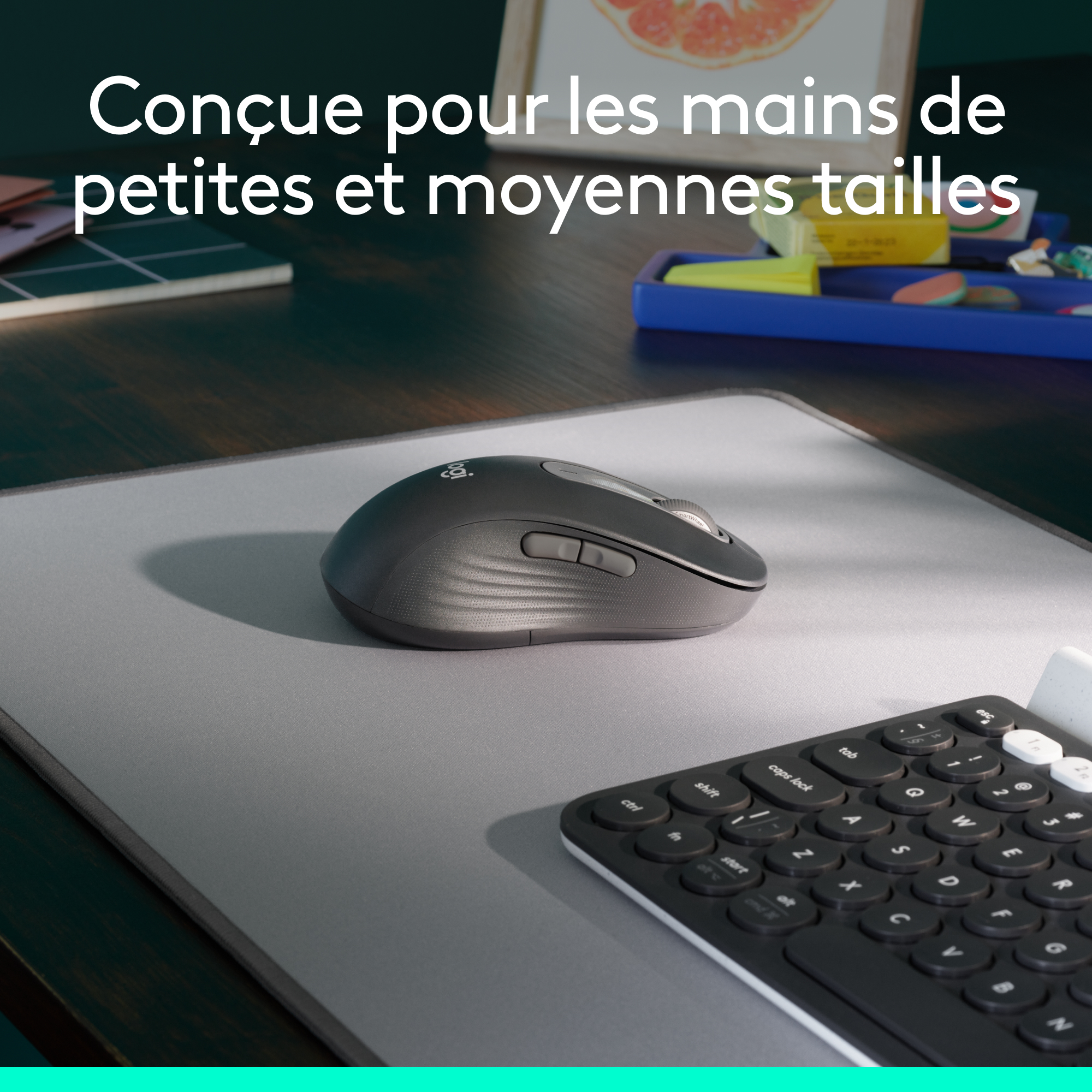 Logitech M650 L Left (Graphite)