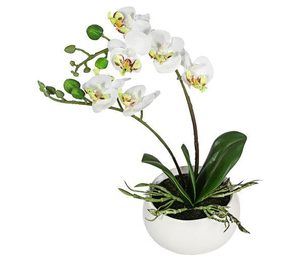 Dehner Kunstpflanze Mini-Orchidee