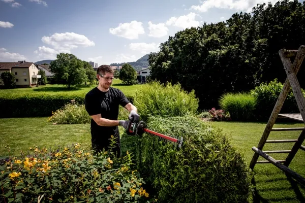 Metabo HS 18 LTX 55 - Hæktrimmer - ledningfri - 18 V - 2600 spm - 55 cm - 53 cm - Skærekapacitet 19 mm - 2.2 kg (batteri og oplader medfølger ikke) - SOLO