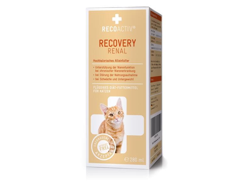 RECOACTIV Katzen-Nahrungsergänzung Recovery Renal, 1 x 280 Flüssiges Diät-Ergänzungsfuttermittel für Katzen