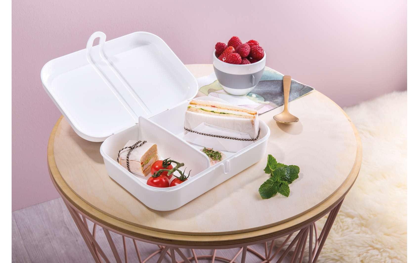 Lunchbox Pascal L Organic Hellgrau/GrauFrühstücksdose mit Trennsteg
