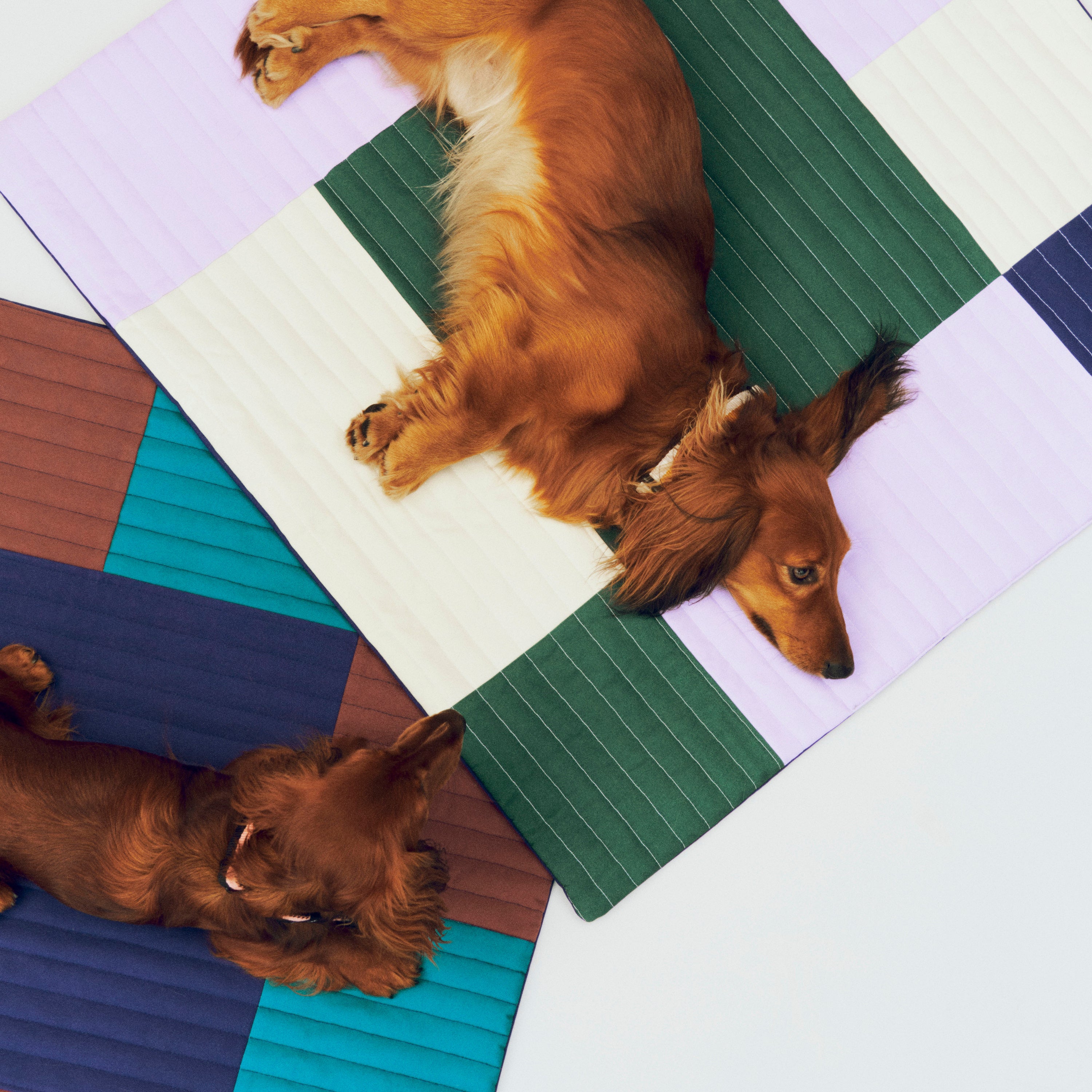 HAY Dogs Travel Blanket - Green / Lavender / Blue