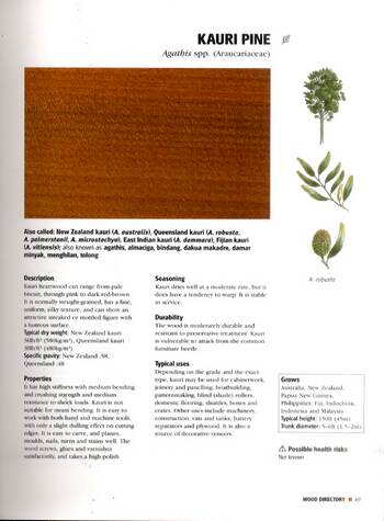 Wood Identification & Use (Hardback)