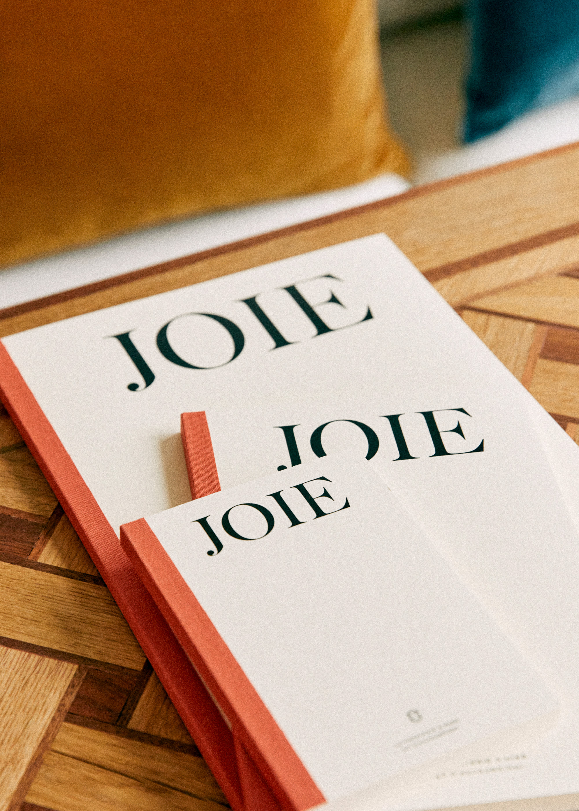 Carnet A4 - Joie - LES COMPOSANTES/DÉCOUVRIR 5906648