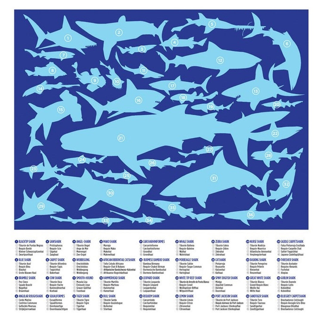 Crocodile creek puzzel 36 haaien - 100st