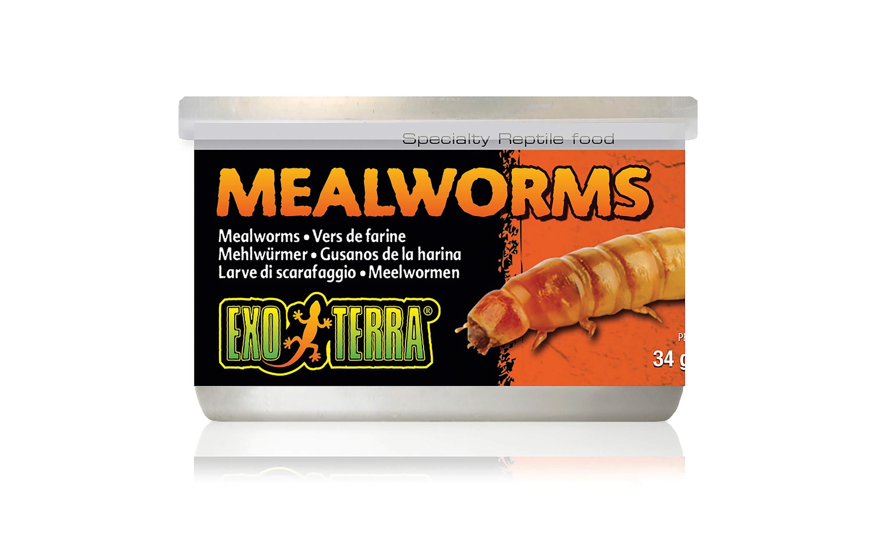 Dosenfutter Mealworms, 34 gSpezialfutter für Reptilien (Mehlwürmer)