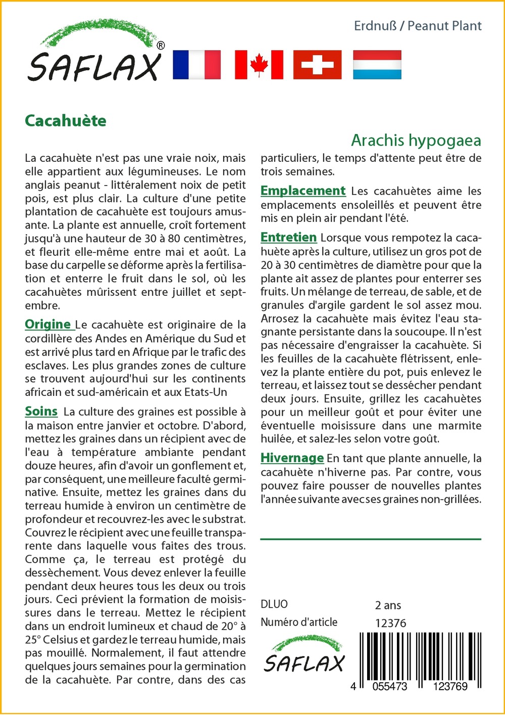 Kit cadeau - cacahuète - 8 graines - arachis hypogaea