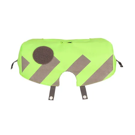 School-Mood Neon Cap grün