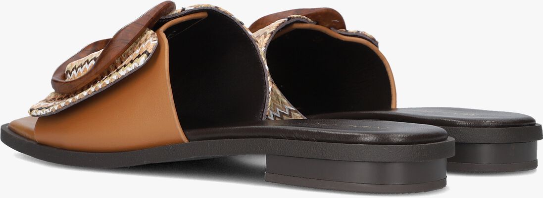 camel noa harmon slippers 9231