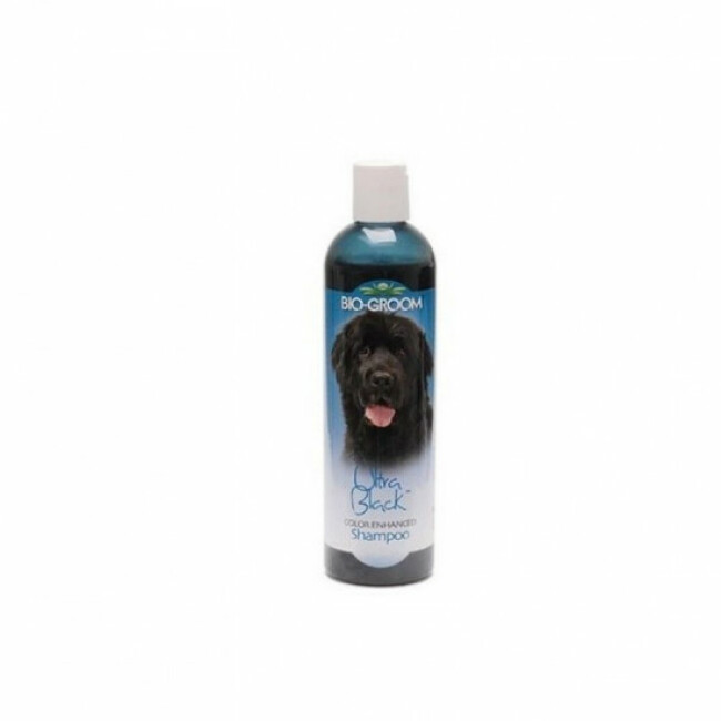 Shampoing colorant Bio Groom Ultra Black pour pelage noir