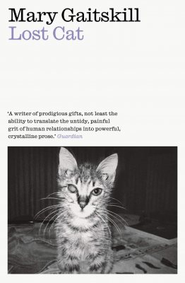 Lost Cat: A Memoir (Paperback)