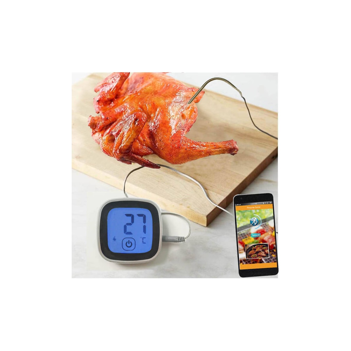 TERMOMETERFABRIKEN  Termometer Stek Bluetooth