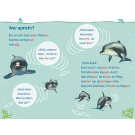 DK Verlag SUPERLESER! Wo bist du, kleiner Delfin?