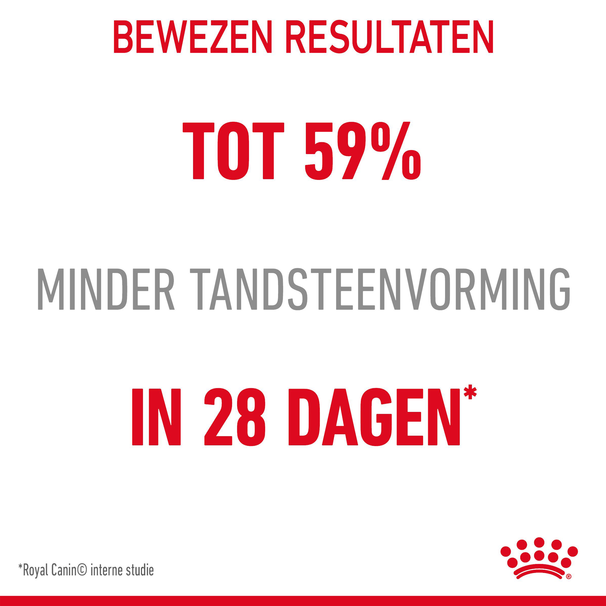 Royal Canin Dental Care - Kattenvoer