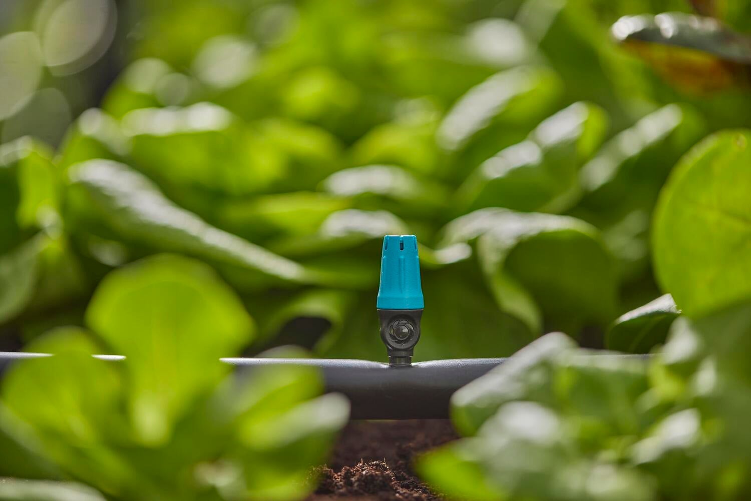 Gardena Micro Drip systeem sproeier kleine oppervlakte