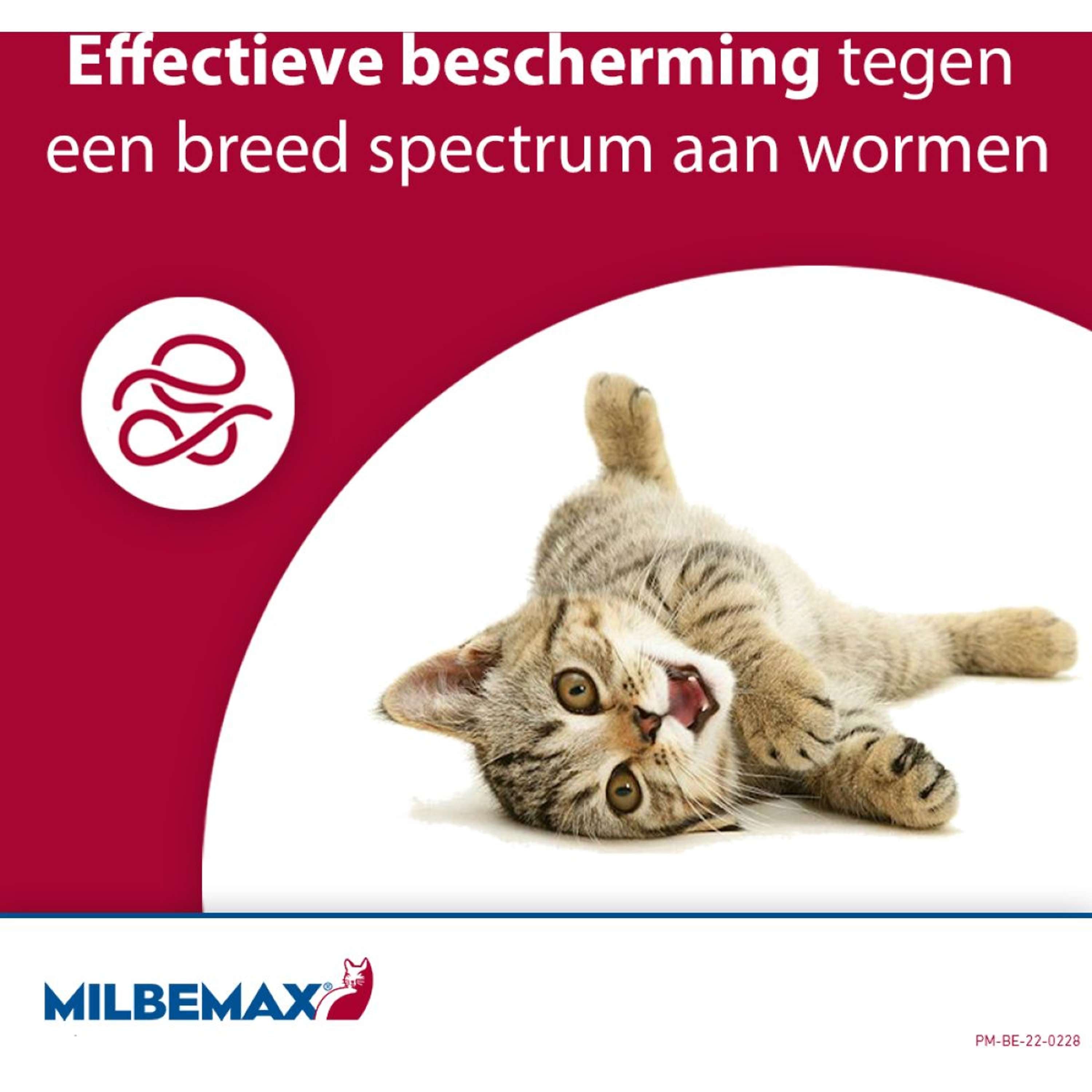 Milbemax Ontwormingstablet Kat Groot