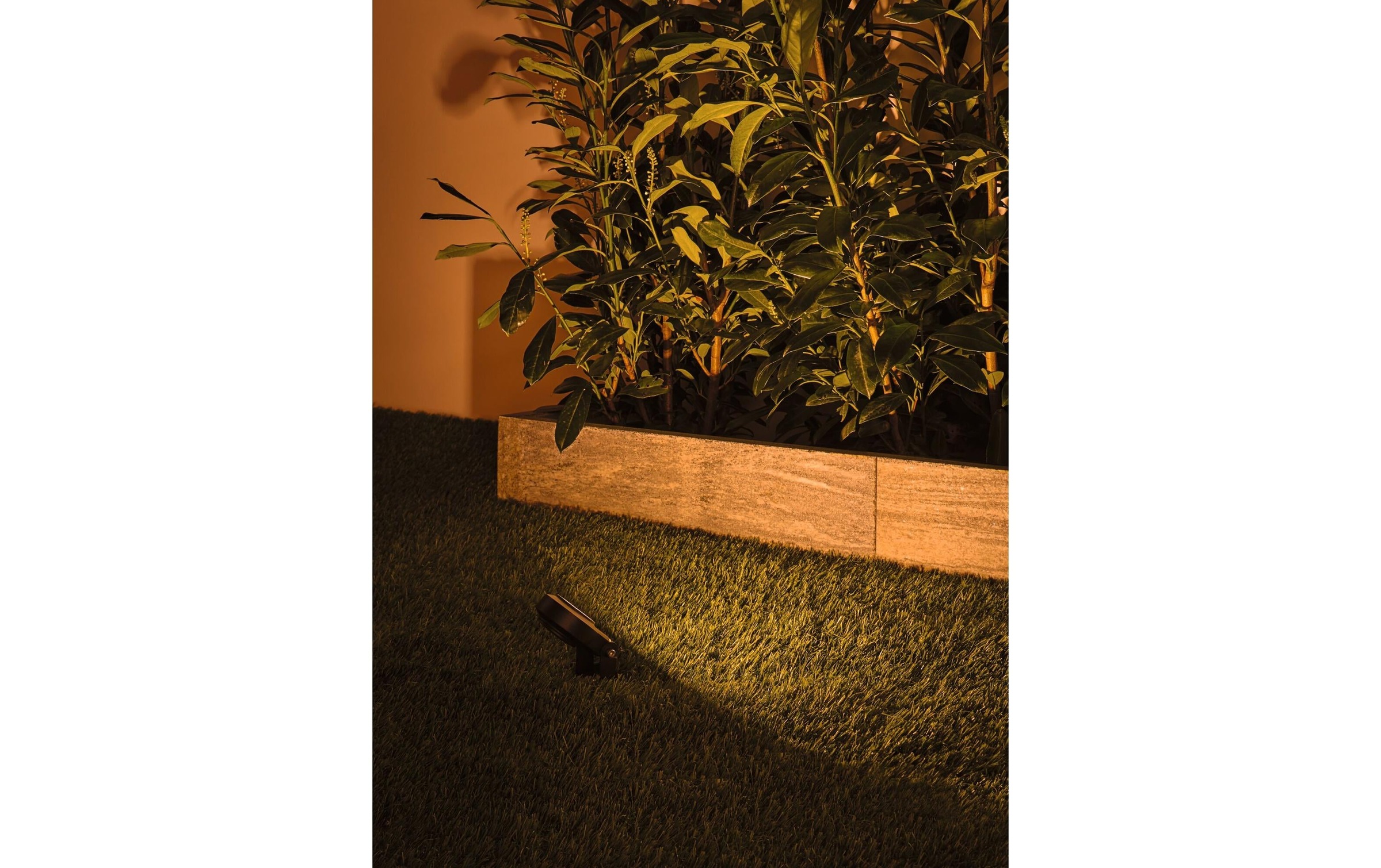 Paulmann Gartenleuchte »Plug & Shine Spot Sting« Warmweiss