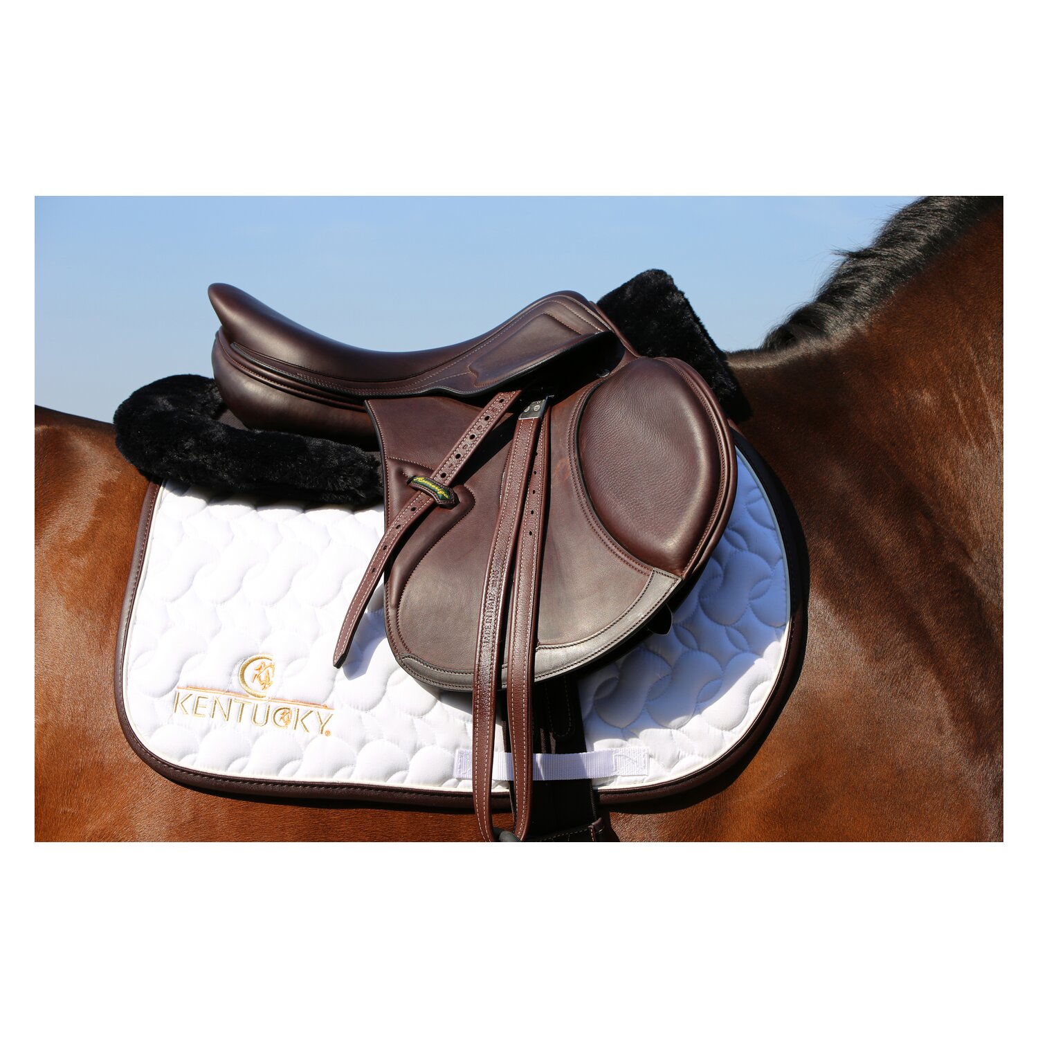 KENTUCKY Lammfell-Sattelpad Anatomic - black