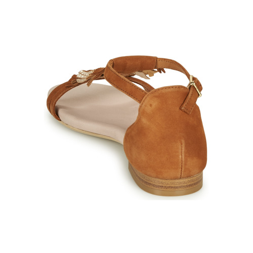 André - BRIANA - Camel