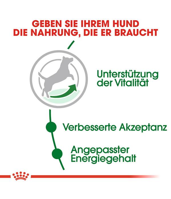 ROYAL CANIN® Trockenfutter für Hunde Mini