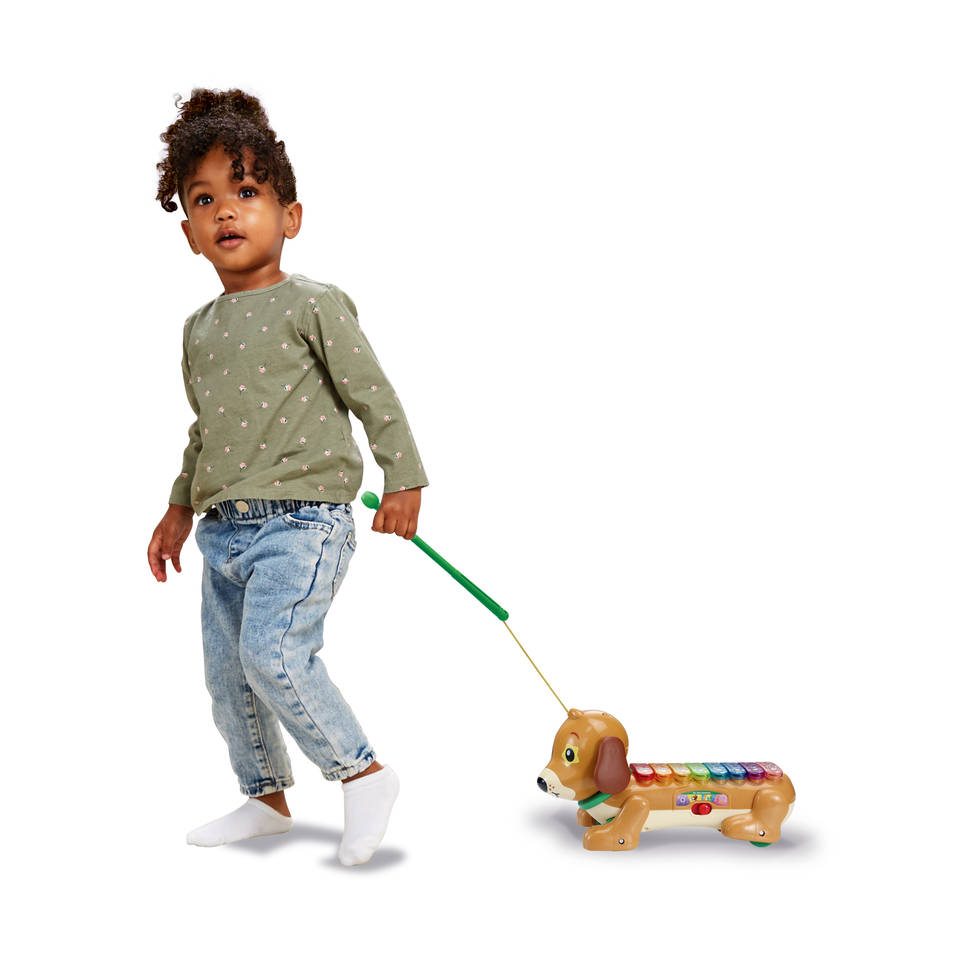 VTech Timmy Teckel xylofoon