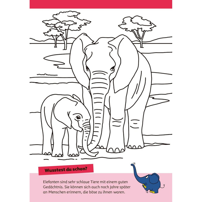 Die Maus - Malblock mit Sachwissen - Natur & Tiere
