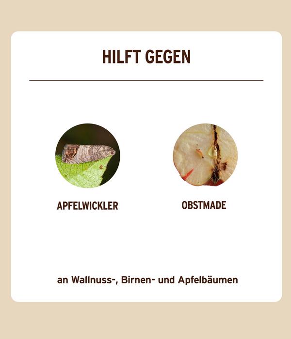 Substral® Naturen® Obstmaden Fallensystem