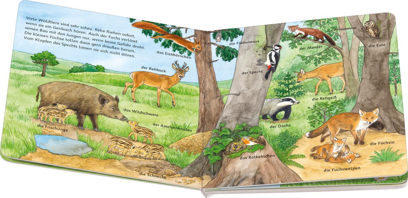 Mein Bilder-Wörterbuch: Unsere Tiere