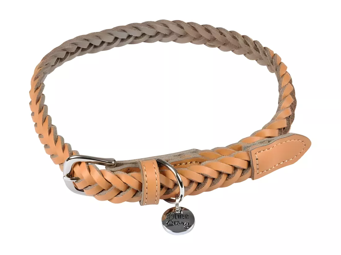 Collier pour Chien Réglable 