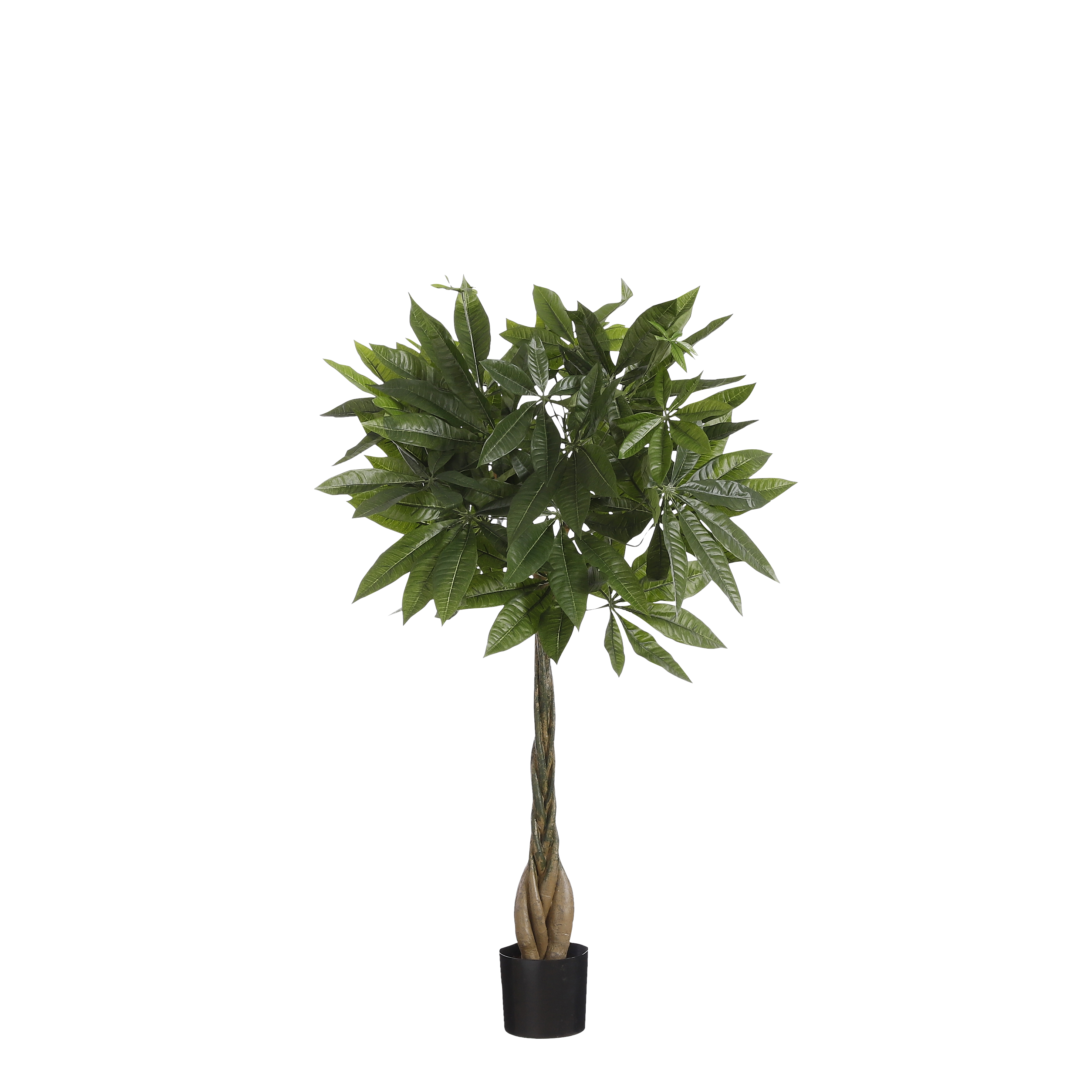 Mica decorations - pachira artificielle en pot h80