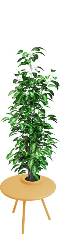 Fatboy Bakkes bijzettafel met plantenpot Anthracite