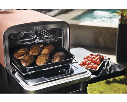 Ninja Woodfire 8-in-1 elektrische grill pizza, stomer/rijst/pastakoker 2,4 kW