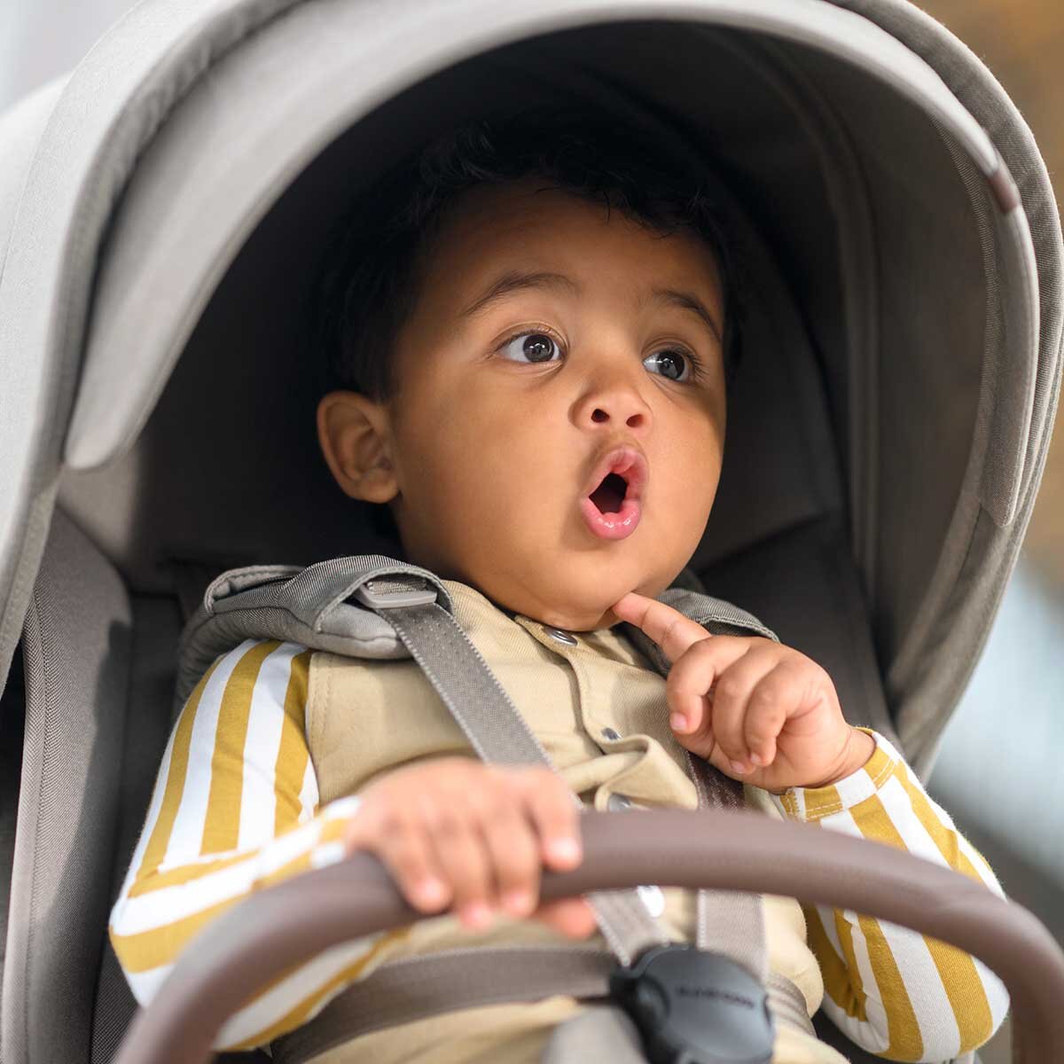Maxi-Cosi Maxi Cosi Kinderwagen Oxford +