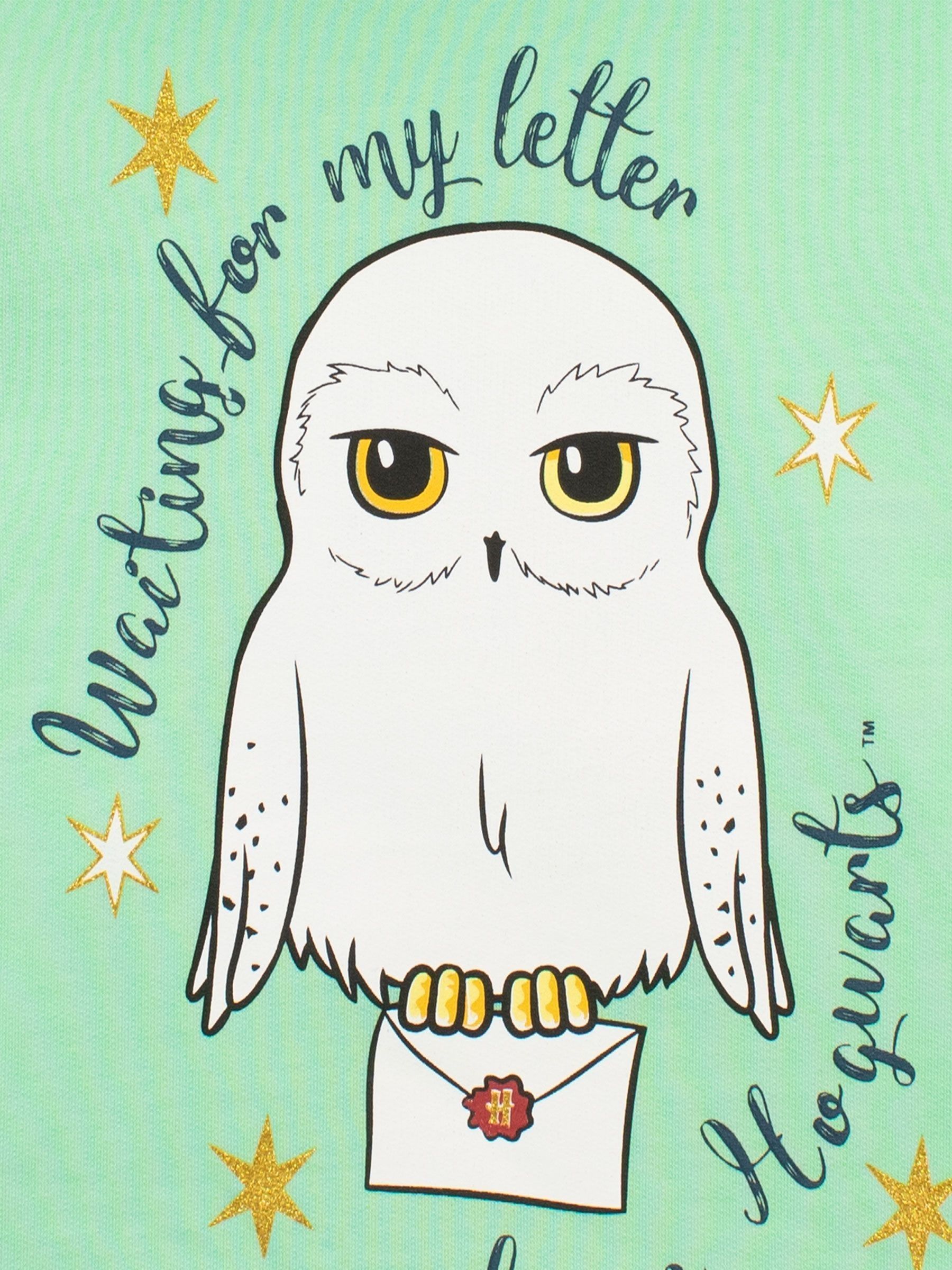 Personage 100% katoenen Harry Potter hoodie met karakteristieke print