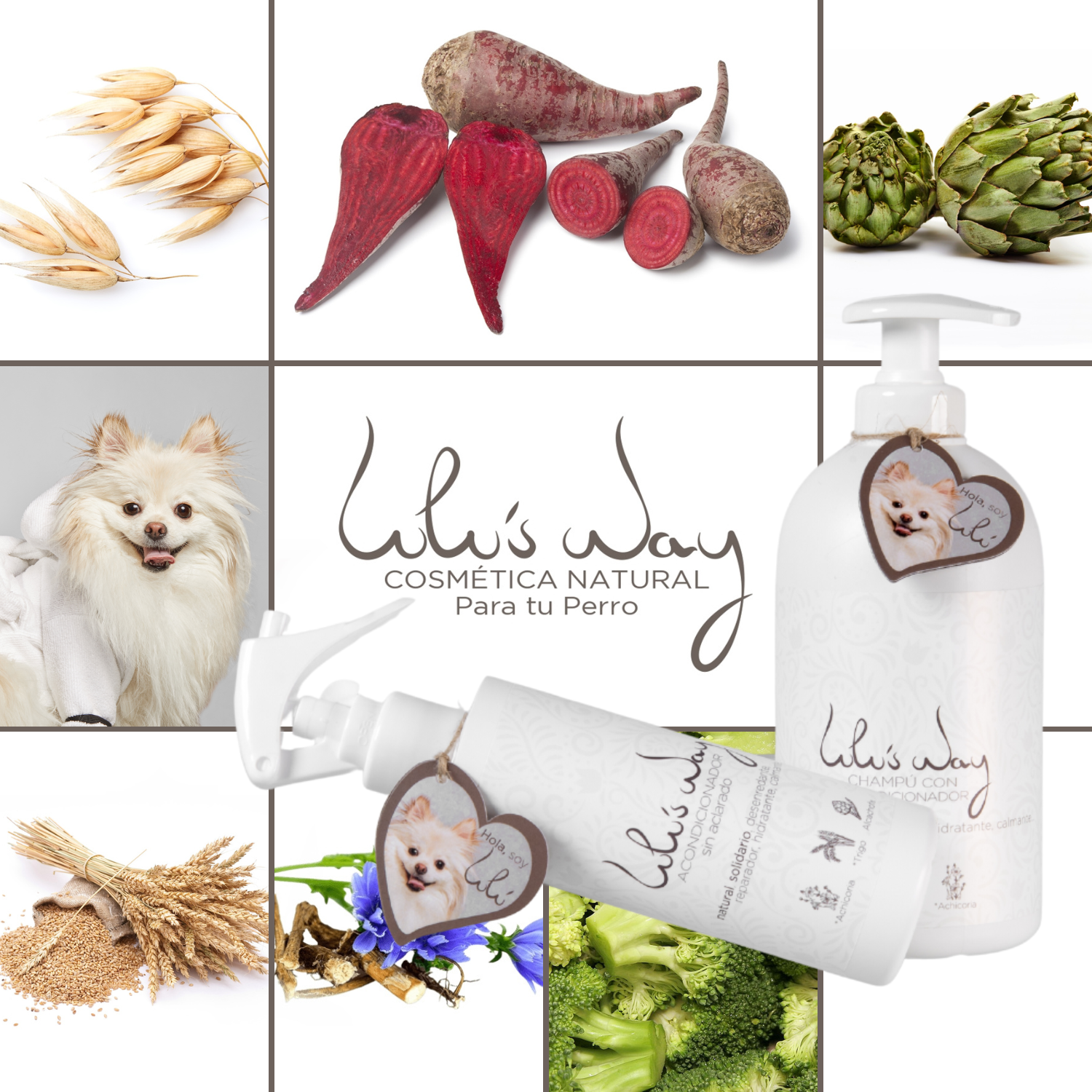 Shampoo natural para cães com condicionador + condicionador sem enxágue para cães
