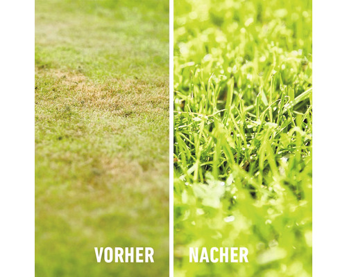 COMPO BIO gazonmeststof 10,05 kg 250 m² 100% natuurlijke ingrediënten