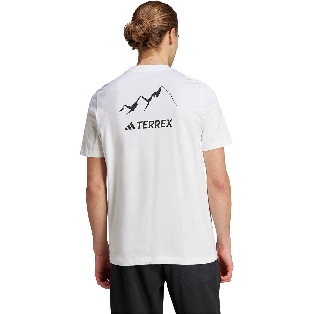 adidas Terrex Graphic Mountain 2.0 T-shirt Herre